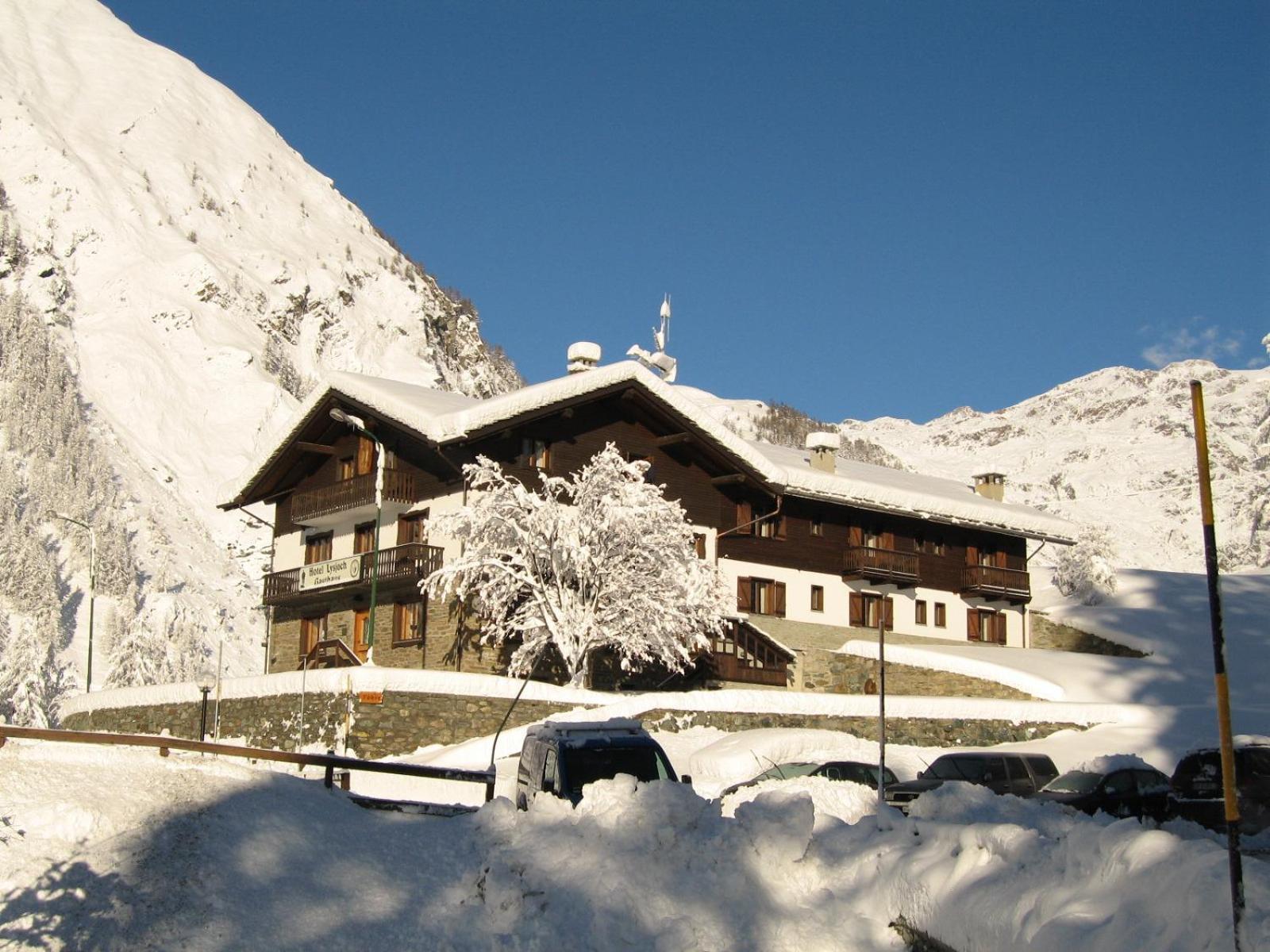Hotel Lysjoch Gressoney-La-Trinite Exterior photo