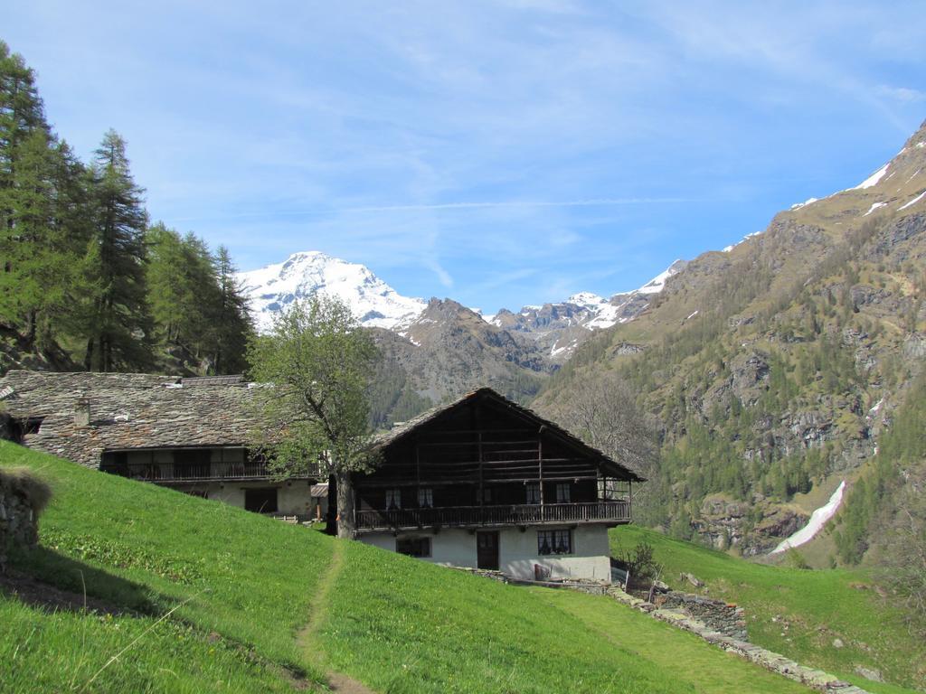 Hotel Lysjoch Gressoney-La-Trinite Exterior photo
